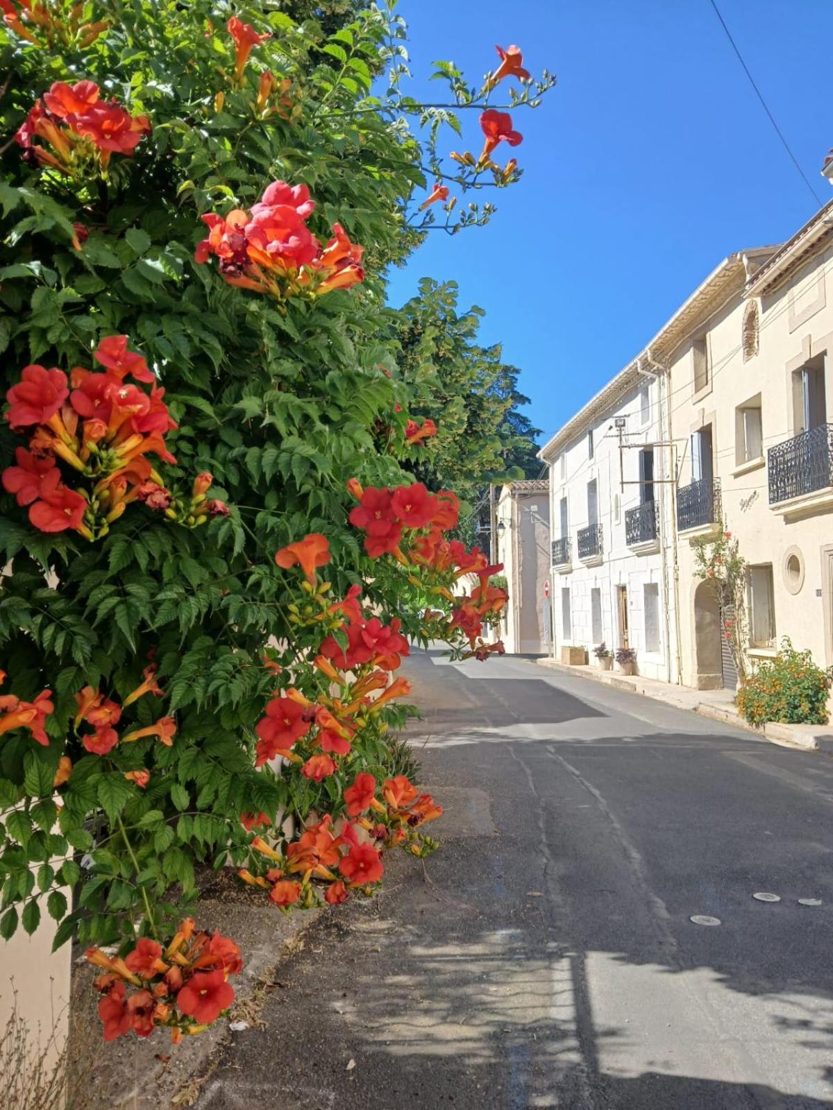 L'Oostaloo Logement De Vacances Usclas-l'Herault المظهر الخارجي الصورة